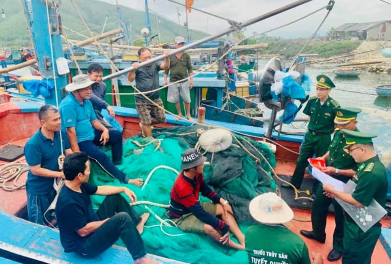 Concealing, forging IUU evidence faces 1 billion VND fine